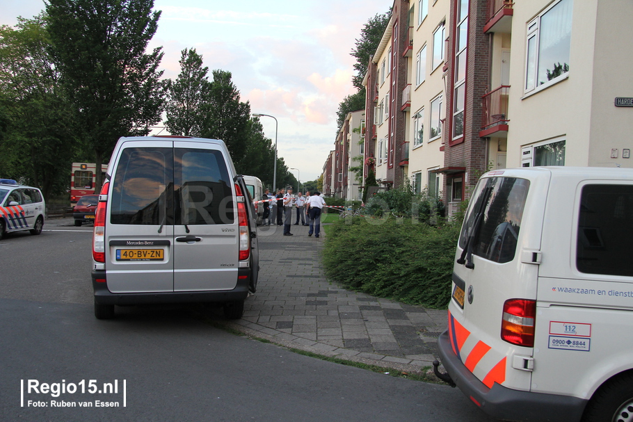 w-img 9337