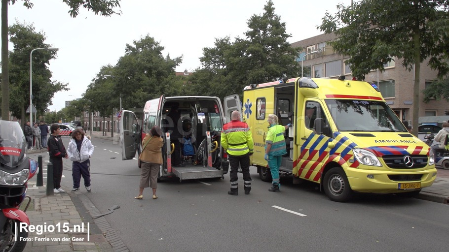 w-albertink thymplein1
