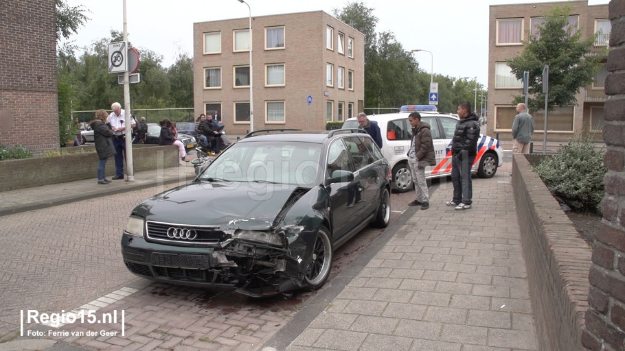 w-albertink thymplein7