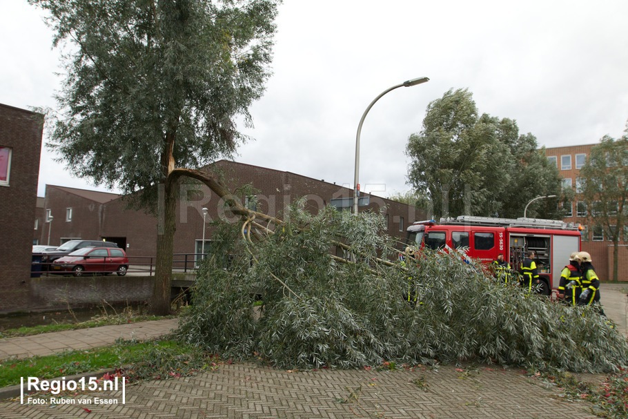 w-Woudedijk-1