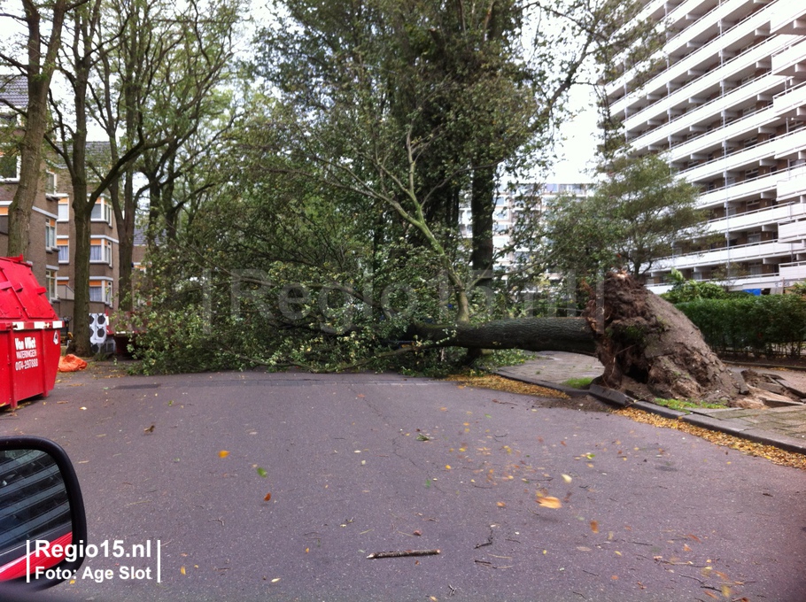w-sirtemastraat