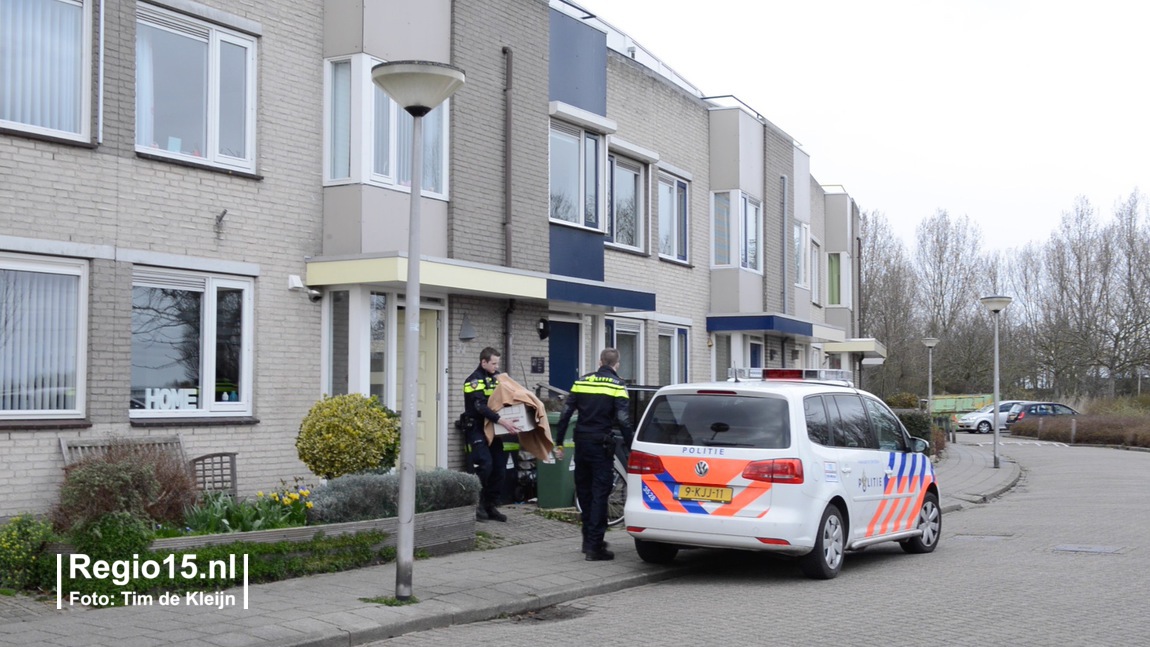 w Pijnacker1