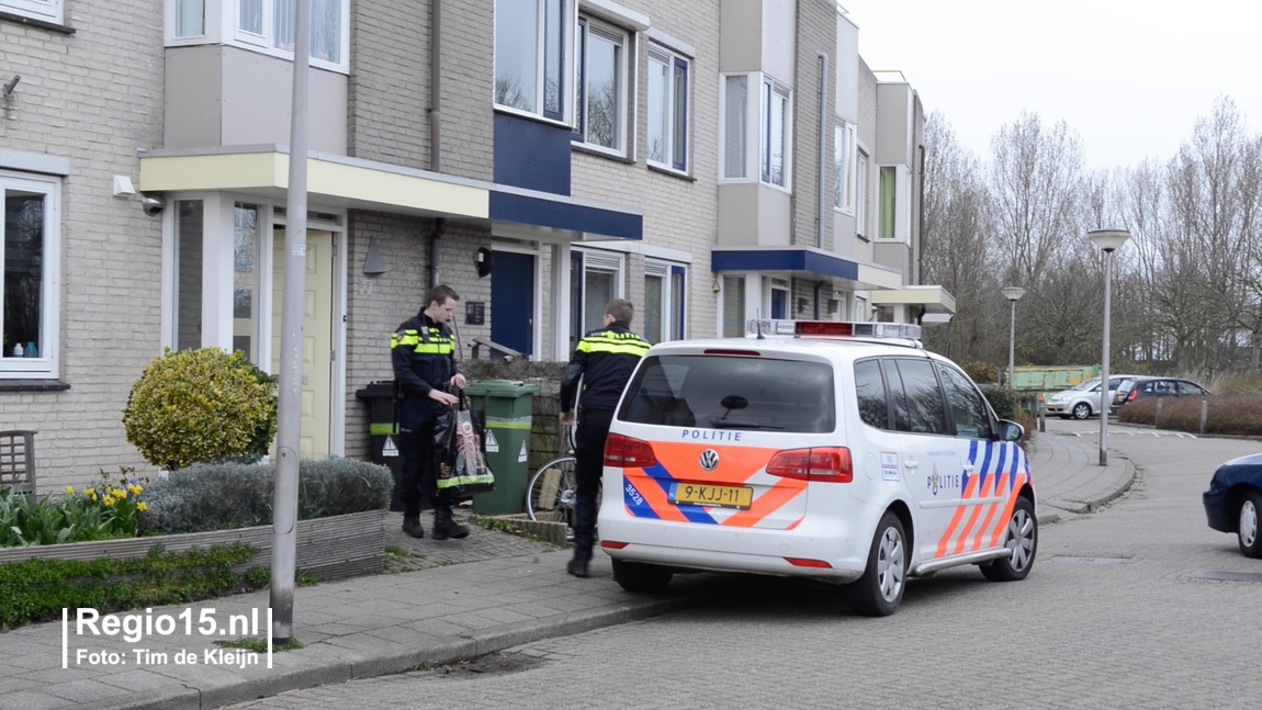 w Pijnacker3