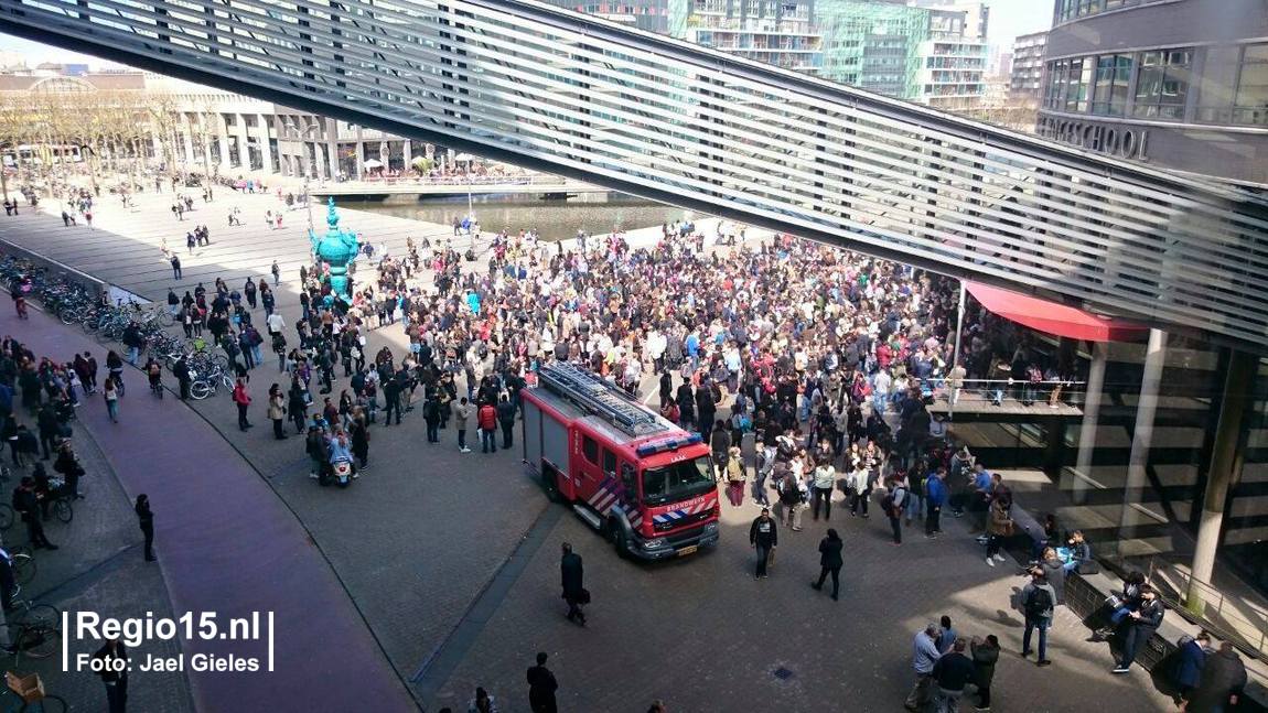 w 10982421 10203898931905904 5055331481879839182 o
