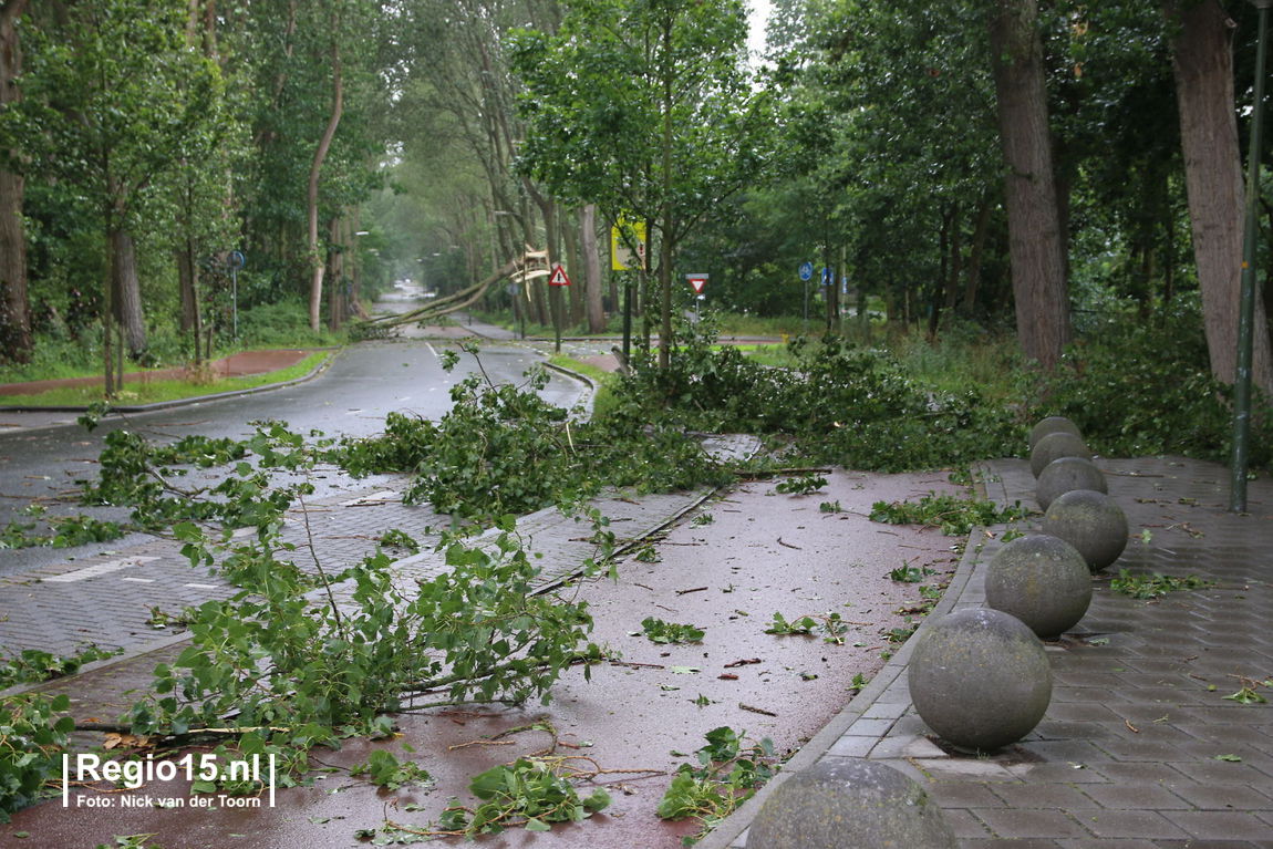 20150725 Wijndaelerweg Nick6