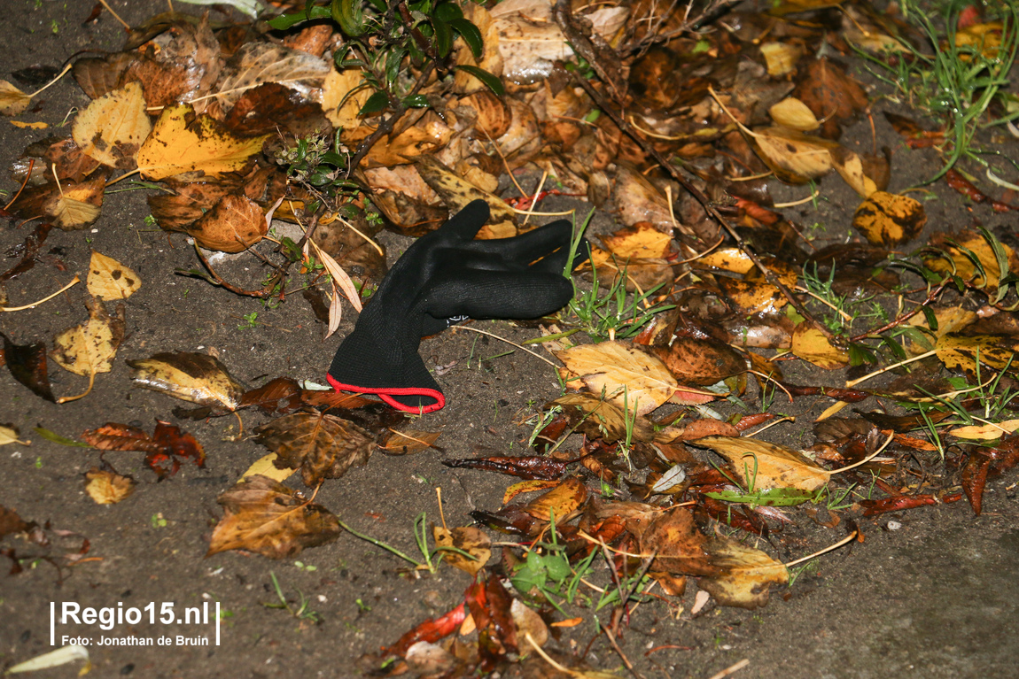 w 20151014 IMG 7695