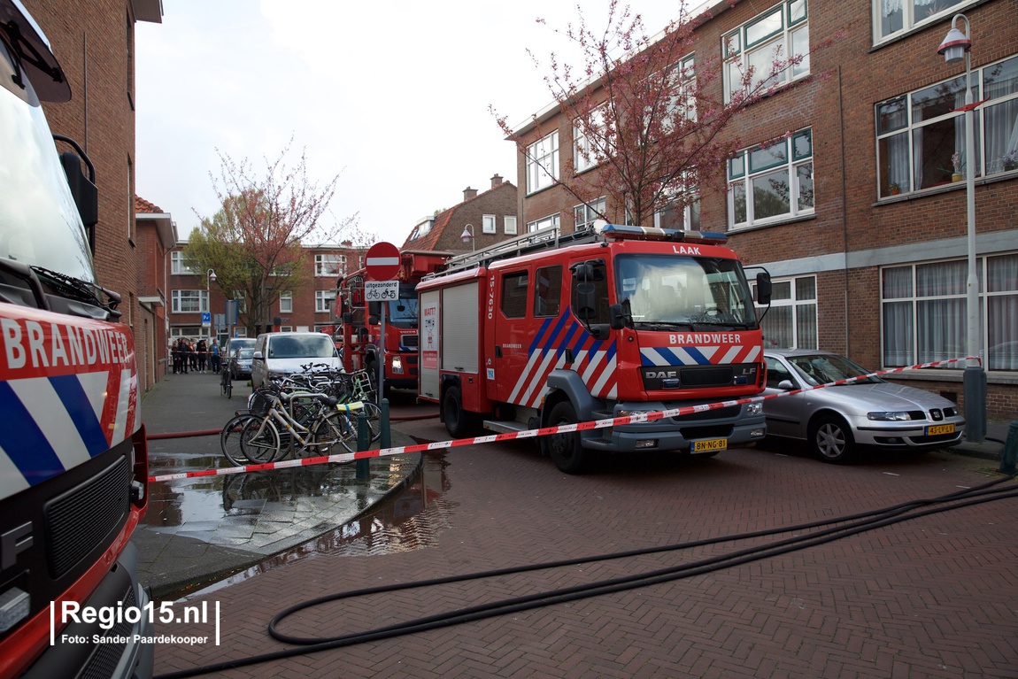 w Reinwardt SBF57221