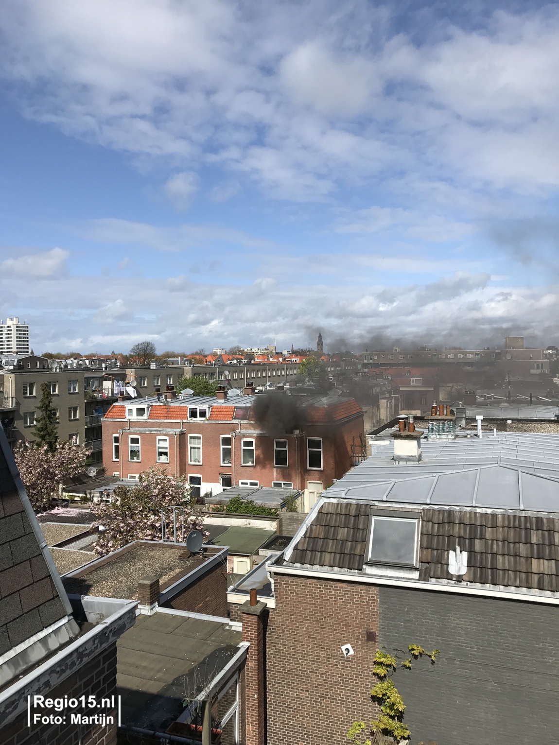 w IMG 0546 1