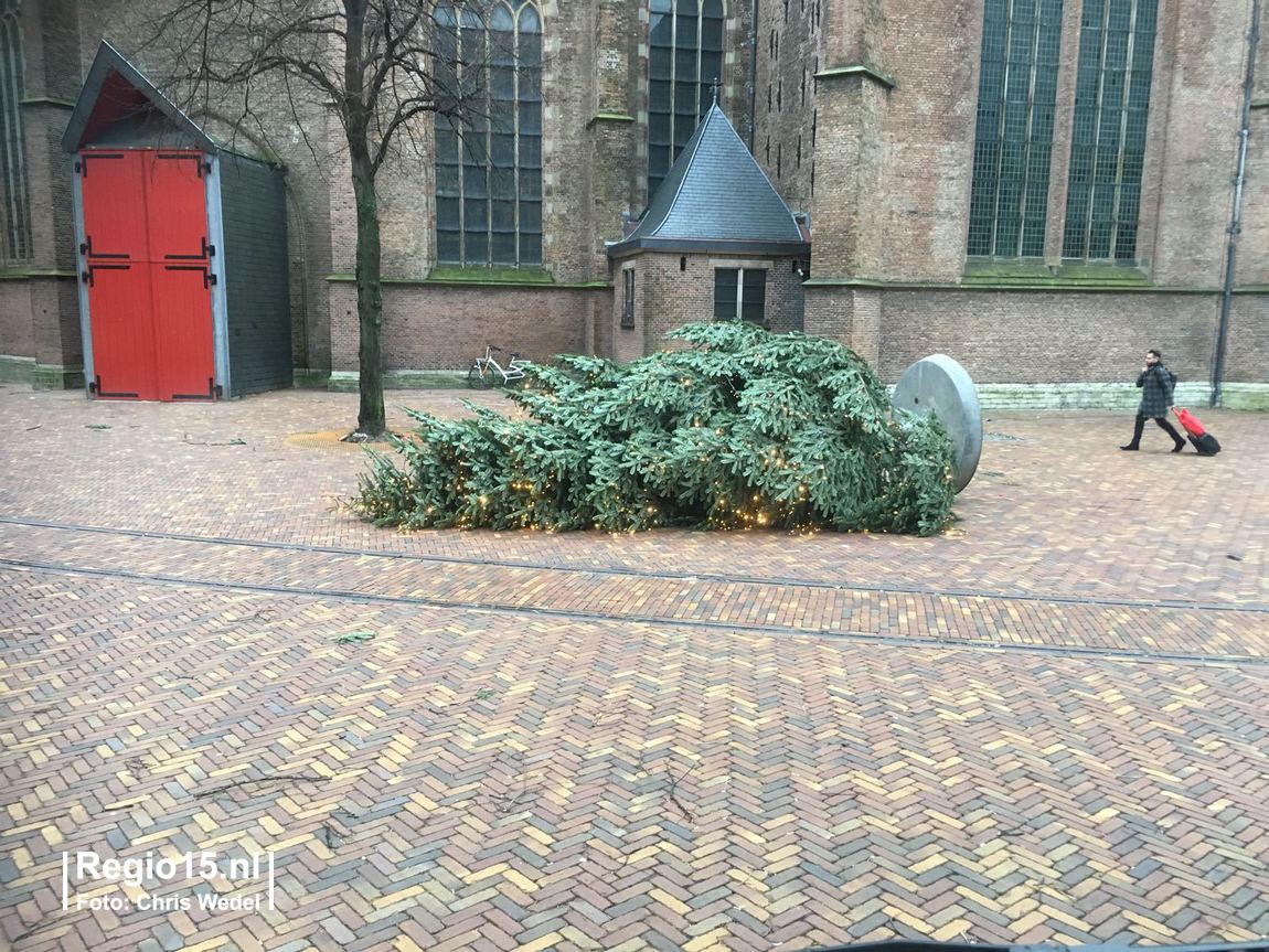 w Kerstboom