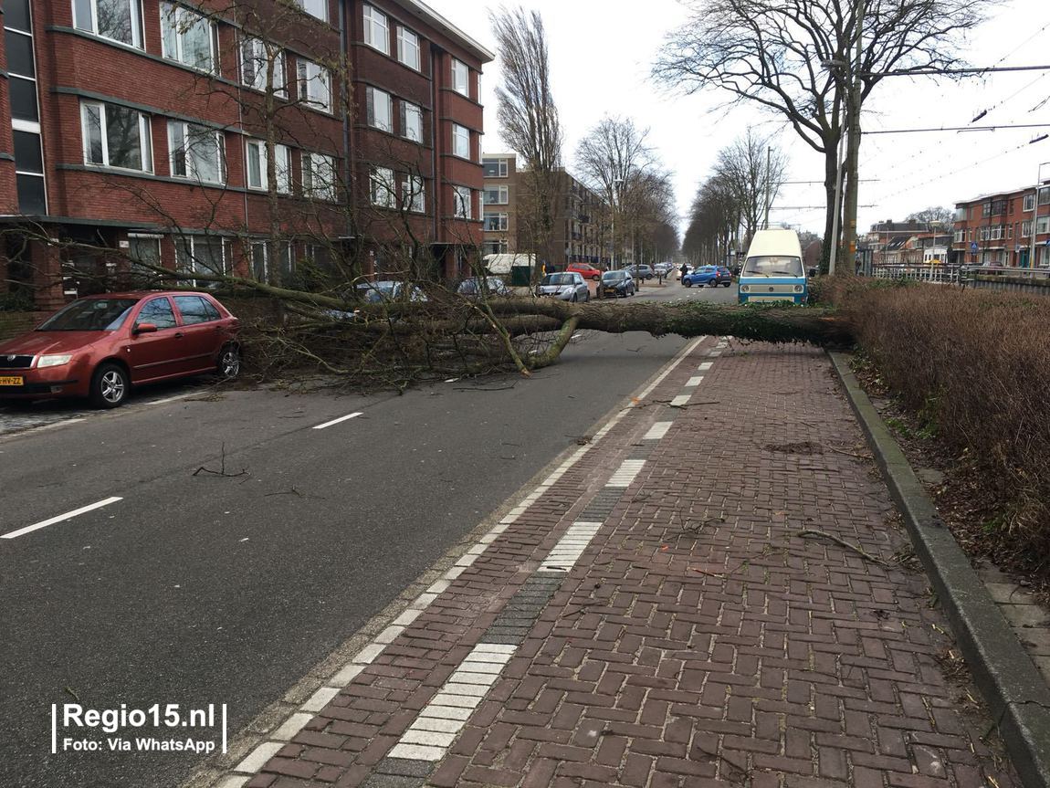 w loosduinsekade3