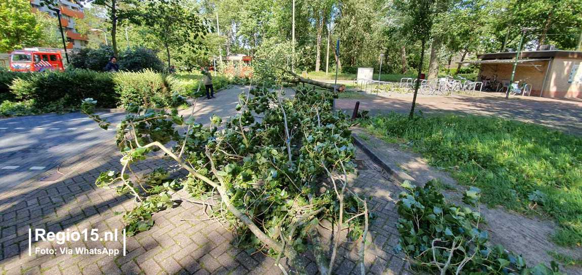 w haar2